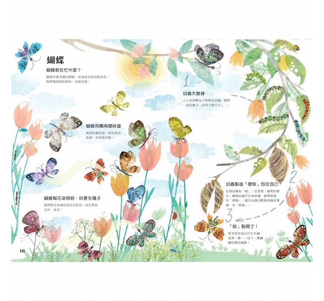 蟲蟲大書BUGS